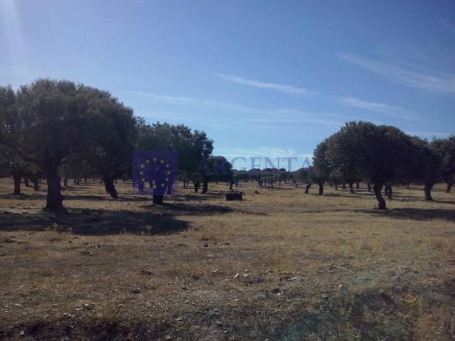 Chalet en venta en Salorino, Extremadura