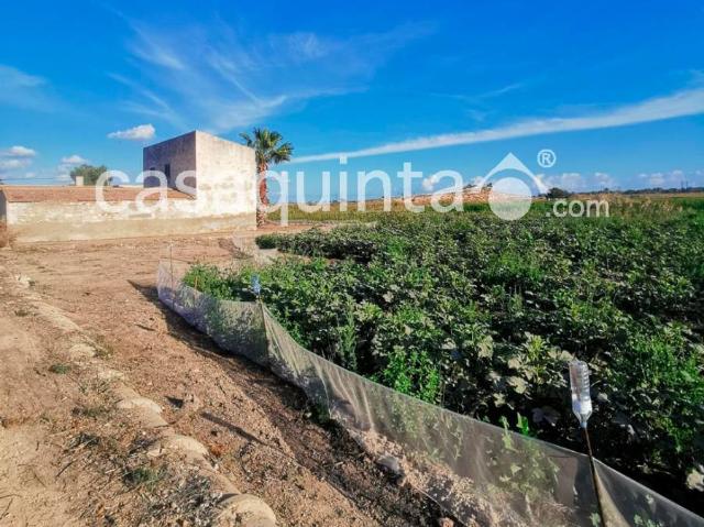 Chalet en venta en el Baix Segura / La Vega Baja, Valencia
