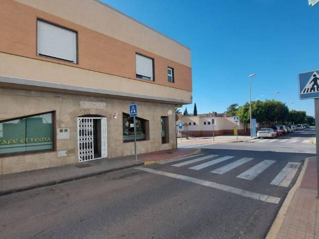 Villa en venta en El Ejido