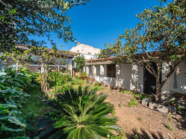 Chalet en venta en Migjorn, Baleares