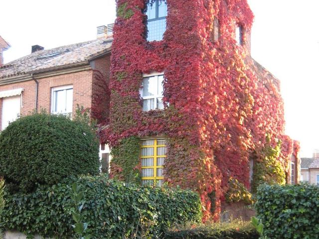 Villa en venta en Simancas, Urbanización El Plantío