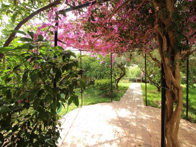 Chalet en venta en Canamunt, Palma