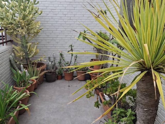 Chalet en venta en Ciudad Jardín, Gran Canaria