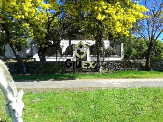 Chalet en venta en Tejeda De Tiétar, Extremadura