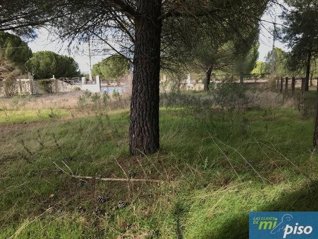 Villa en venta en Traspinedo