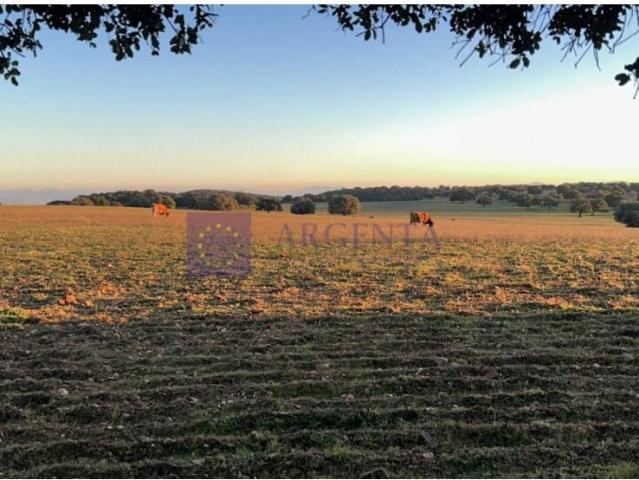 Chalet en venta en Trujillo, Extremadura