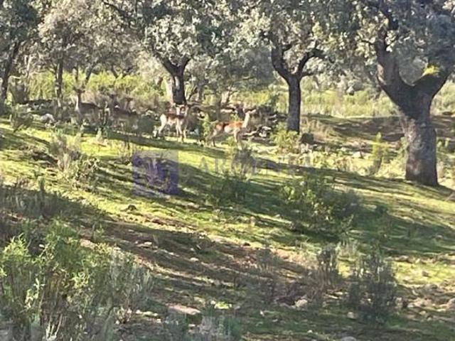 Chalet en venta en Trujillo, Extremadura