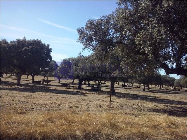 Chalet en venta en Trujillo, Extremadura