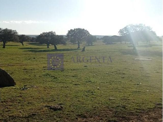 Chalet en venta en Trujillo, Extremadura