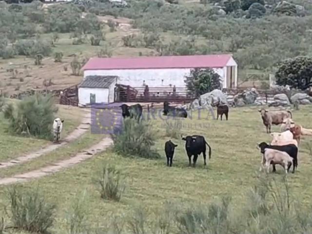 Chalet en venta en Trujillo, Extremadura