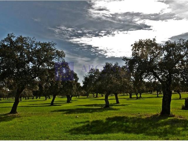 Chalet en venta en Trujillo, Extremadura