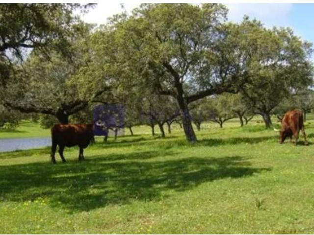 Chalet en venta en Trujillo, Extremadura
