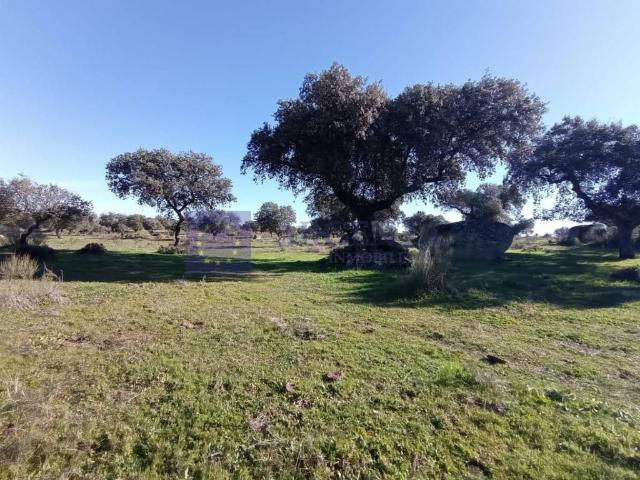 Villa en venta en Trujillo