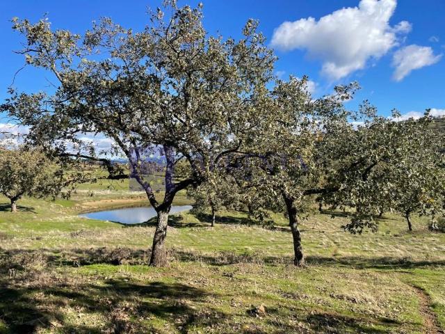 Chalet en venta en Trujillo, Extremadura