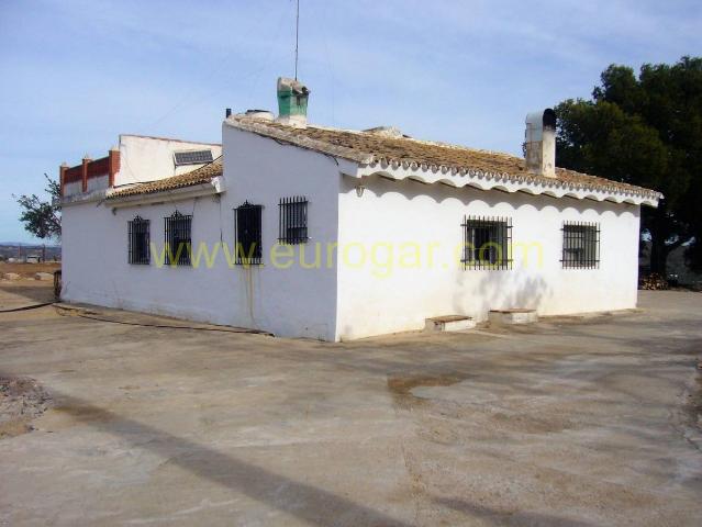 Chalet en venta en la Ribera Alta, Valencia