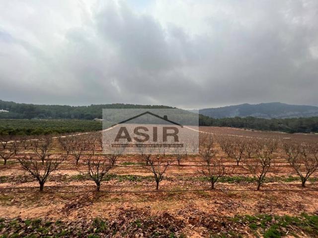 Chalet en venta en la Vila, Alzira