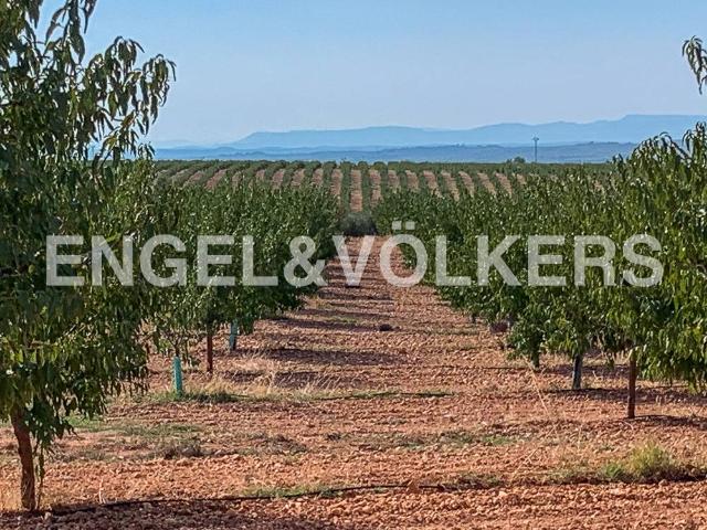 Terreno en venta en Utiel Terreno en venta en Utiel