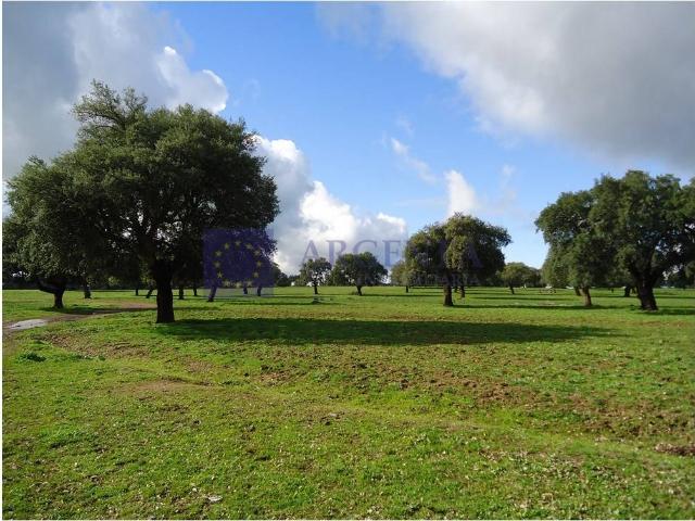 Chalet en venta en Valdehúncar, Extremadura