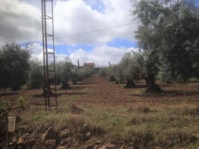 Chalet en venta en Llanos de Olivenza, Extremadura