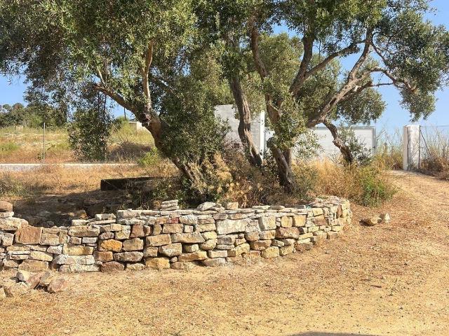 Chalet en venta en Vejer de la Frontera