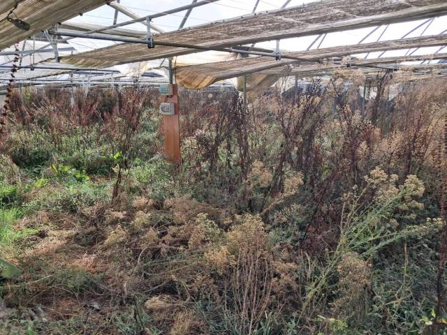 Chalet en venta en Vilamarín, Ourense