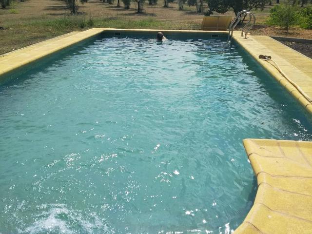 Chalet en venta en Villamayor De Calatrava, Castilla-La Mancha