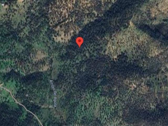 Chalet en venta en Villanueva Del Rey, Andalucía