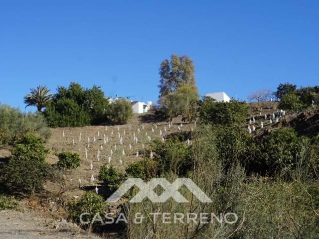Chalet en venta en Los Martínez, La Axarquía
