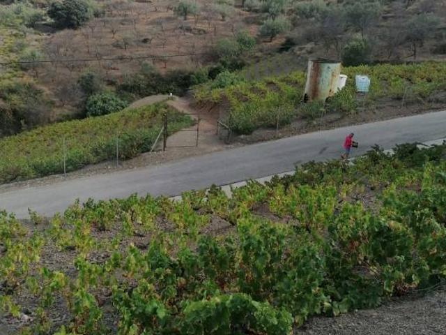 Chalet en venta en Los Martínez, La Axarquía