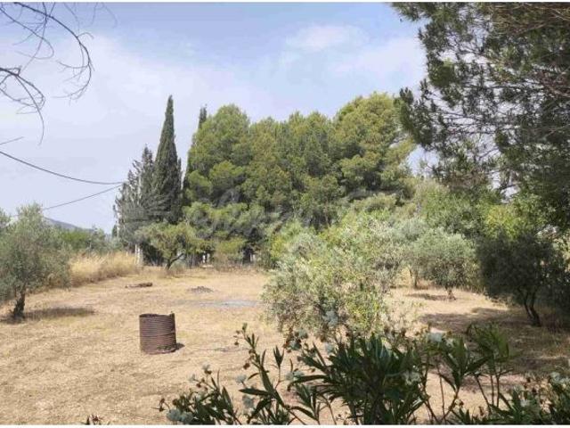 Casa en venta en Altiplano, Murcia