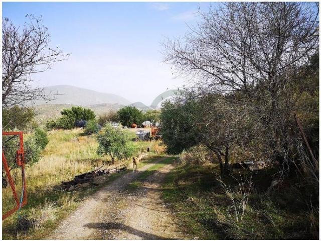 Chalet en venta en Sierra de Cádiz, Andalucía