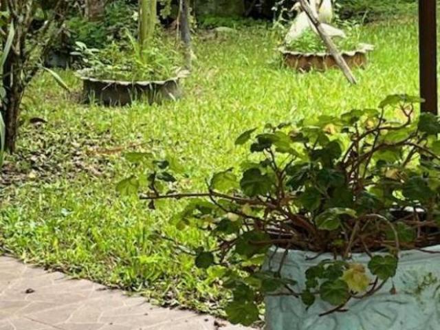 Casa venda em Região Geográfica Imediata de Camaquã, Arambaré