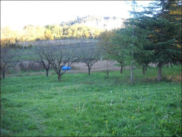 Rustico in vendita a Marche, Ascoli Piceno