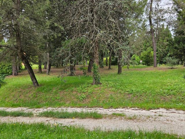 Rustico in vendita a Colli al Metauro, Marche