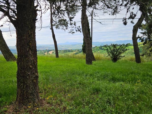 Rustico in vendita a Colli al Metauro, Marche