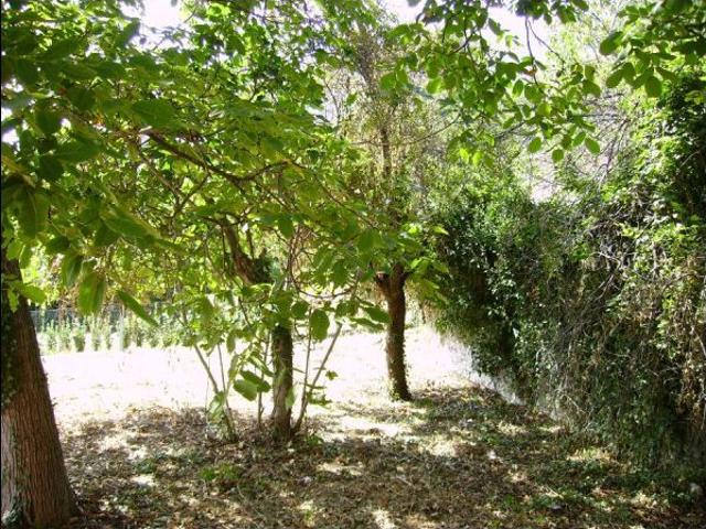 Rustico in vendita a Folignano, Ascoli Piceno