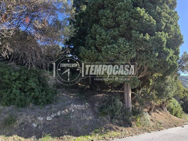 Villa Indipendente in vendita a VI Circoscrizione, Messina