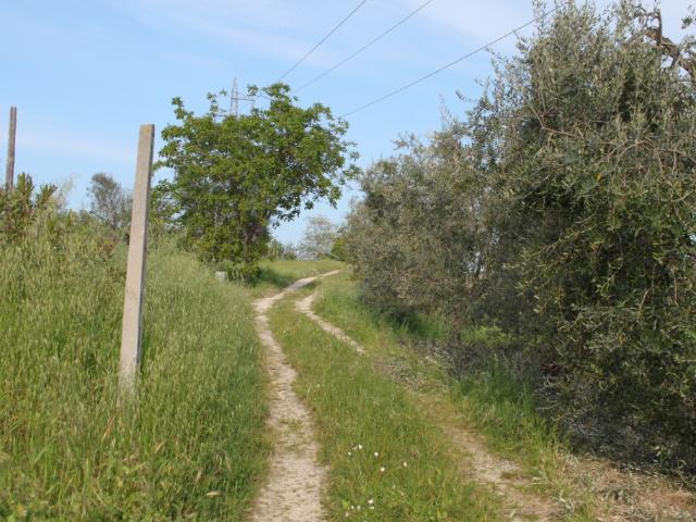 Rustico in vendita a Stella, Monsampolo del Tronto