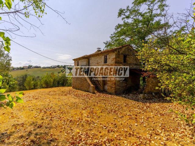 Villa Indipendente in vendita a Borgo Pintura, Marche