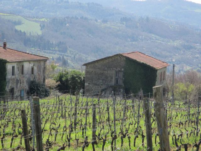 Villa Indipendente in vendita a Unione di Comuni Valdarno e Valdisieve, Pontassieve