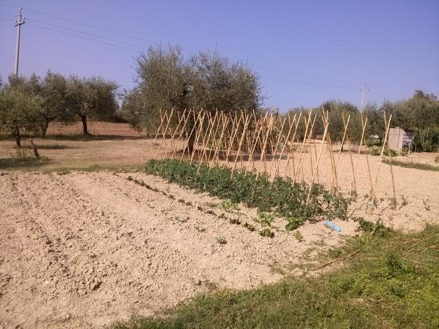 Rustico in vendita a Sant'Egidio alla Vibrata, Teramo