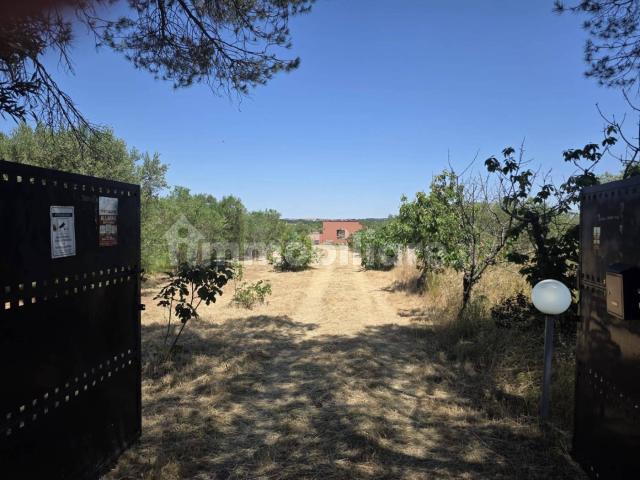 Villa Indipendente in affitto a Puglia, Foggia