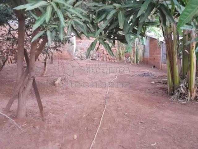 Sítio e chácara venda em Região Imediata de São José do Rio Preto, Região Metropolitana de São José do Rio Preto