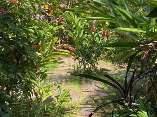 Casa venda em Região Imediata de Caraguatatuba-Ubatuba-São Sebastião, Região Metropolitana do Vale do Paraíba e Litoral Norte