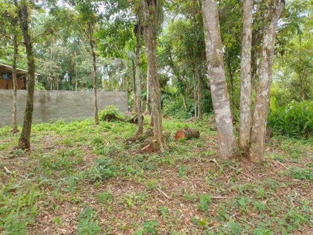 Casa venda em Região Geográfica Imediata de Paranaguá, Morretes