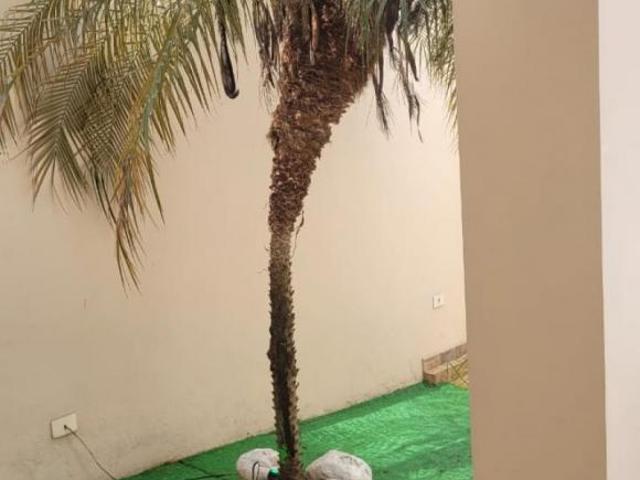 Casa venda em Iperó, São Paulo