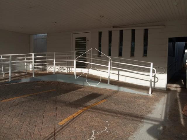 Casa aluguel em Marília