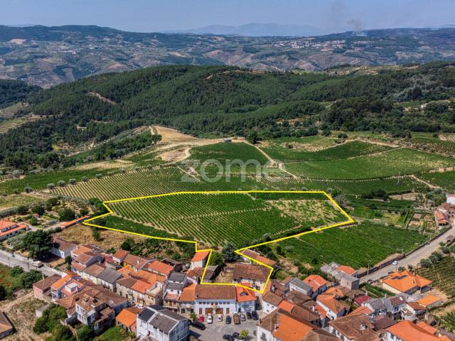 Casa venda em Mondego, Alijó