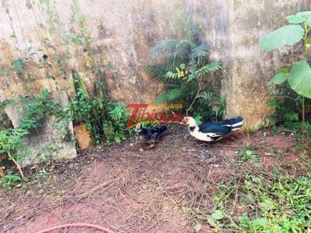 Sítio e chácara venda em Região Imediata de São Paulo, Região Metropolitana de São Paulo