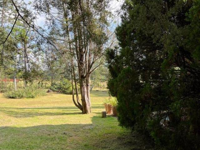 Casa con 9712 m² de superficie de terreno, 4 habitaciones en venta en Tapalpa